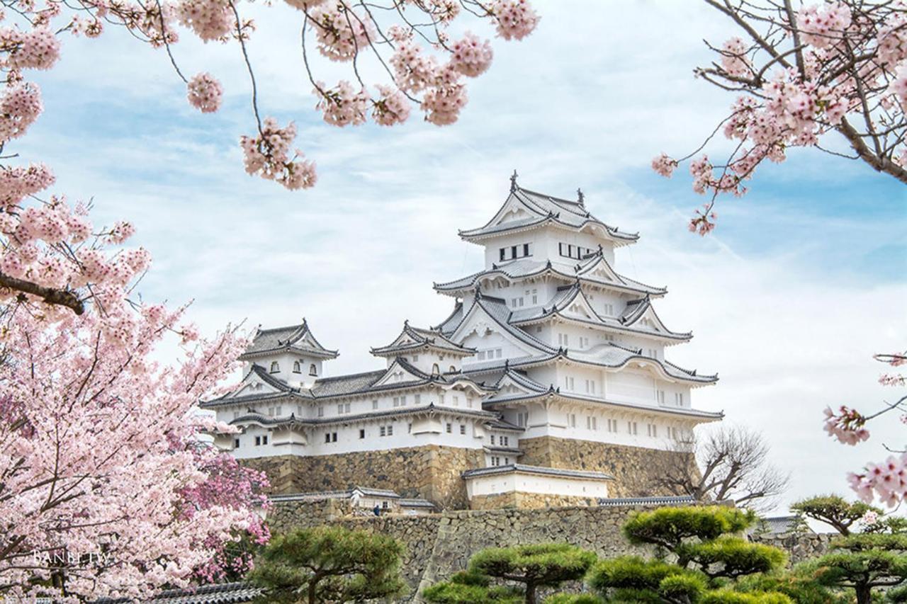北巽サクラハウス一軒家 Sakura House Kitatatsumi 最大16名 度假居 *